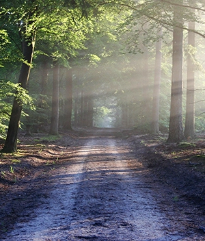 Découvrir la psychothérapie